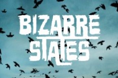 bizarre-states-241x160
